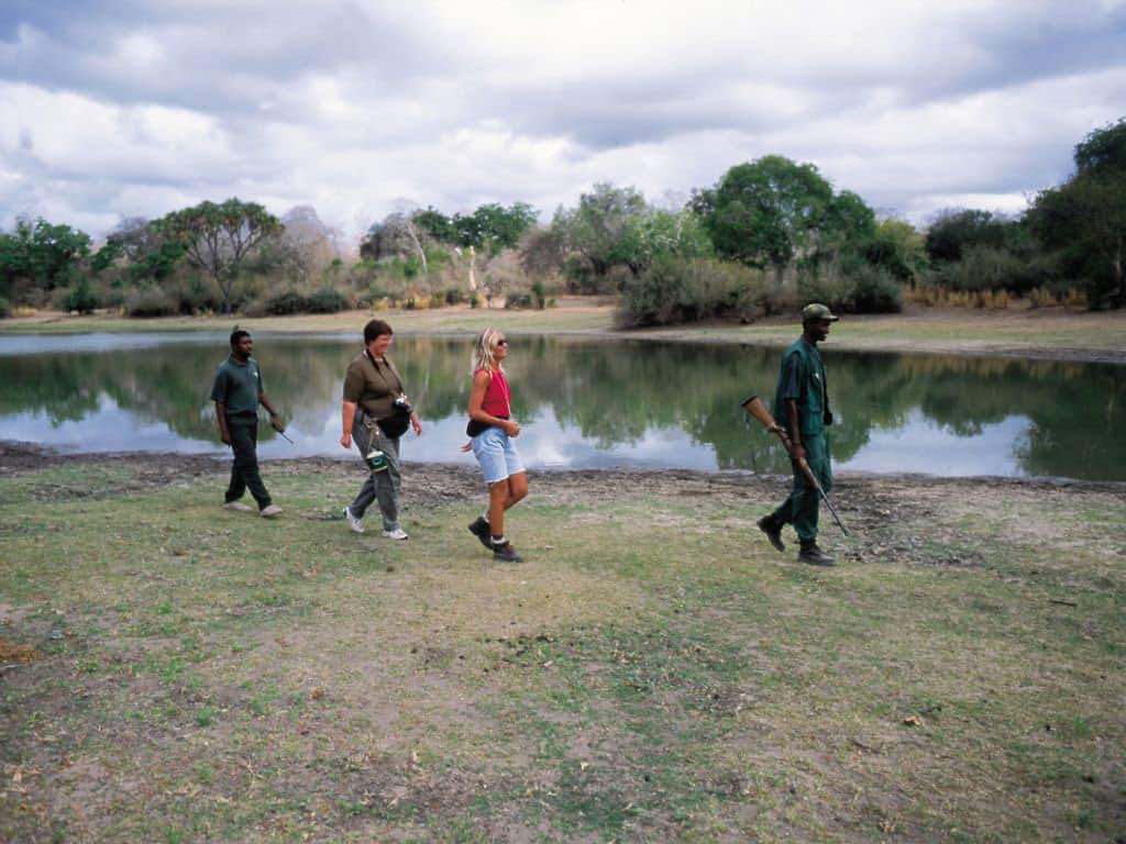 A walk through Selous Game Reserve