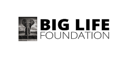 Big Life Foundation - jacksons african safaris