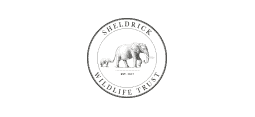 sheldrick wildlife trust - jackson's african safari1